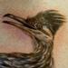 Tattoos - Roadrunner - 54077